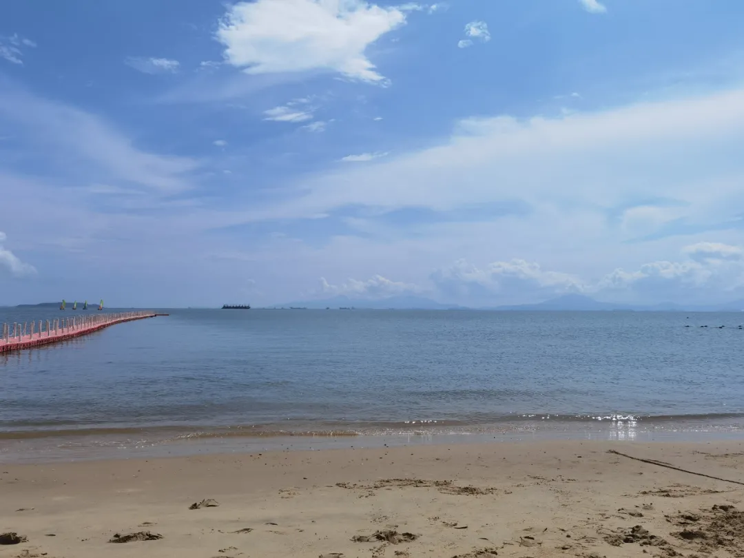 艺鸿集团 | 万物新生，美好同行，惠东海滨之旅(图7)